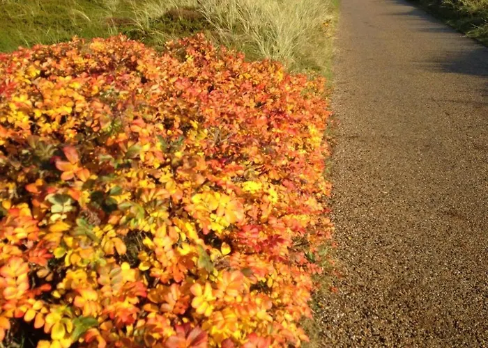 Reimer-strandstrasse-22